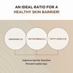 Skin1004 Madagascar Centella Probio Cica Intensive Ampoule 100 ML